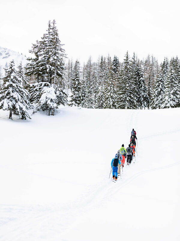 Unterwegs im Naturpark Sölktäler, Patrick Laszlo, Bergführer Schladming-Dachstein